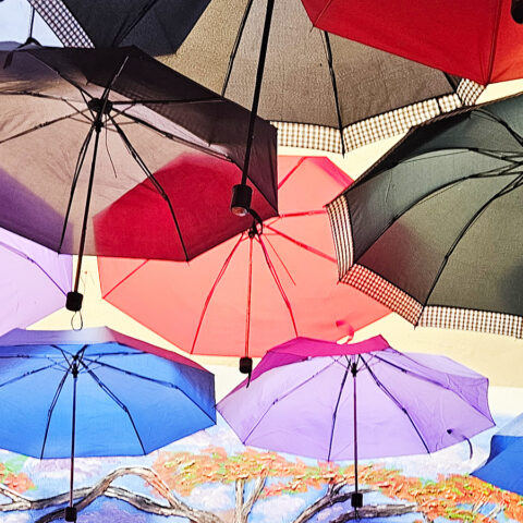 Umbrella Art Puerto Rico